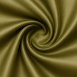 SHINY ESSENTIAL SHIRT OLIVE